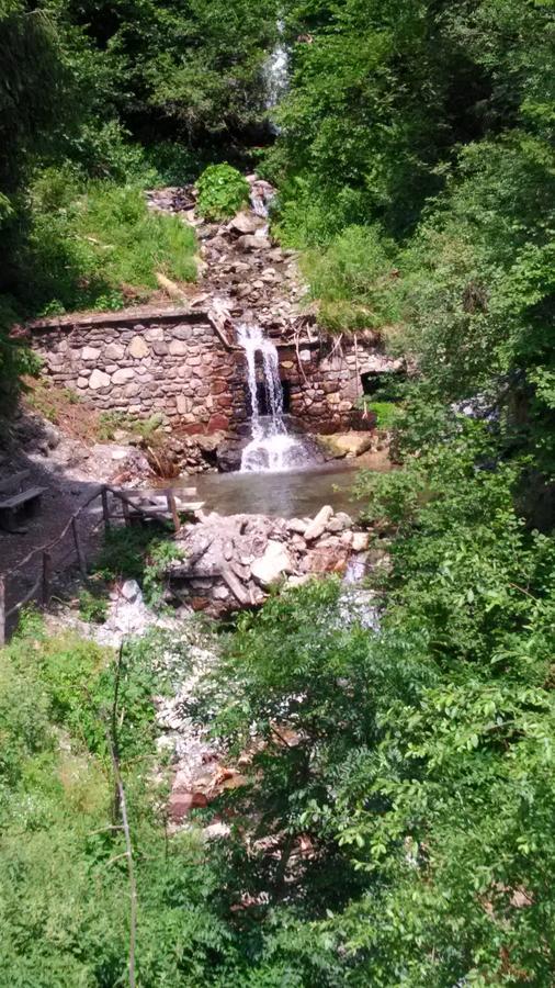 콜리오 Agriturismo Cornei Da Nadia 게스트하우스 외부 사진
